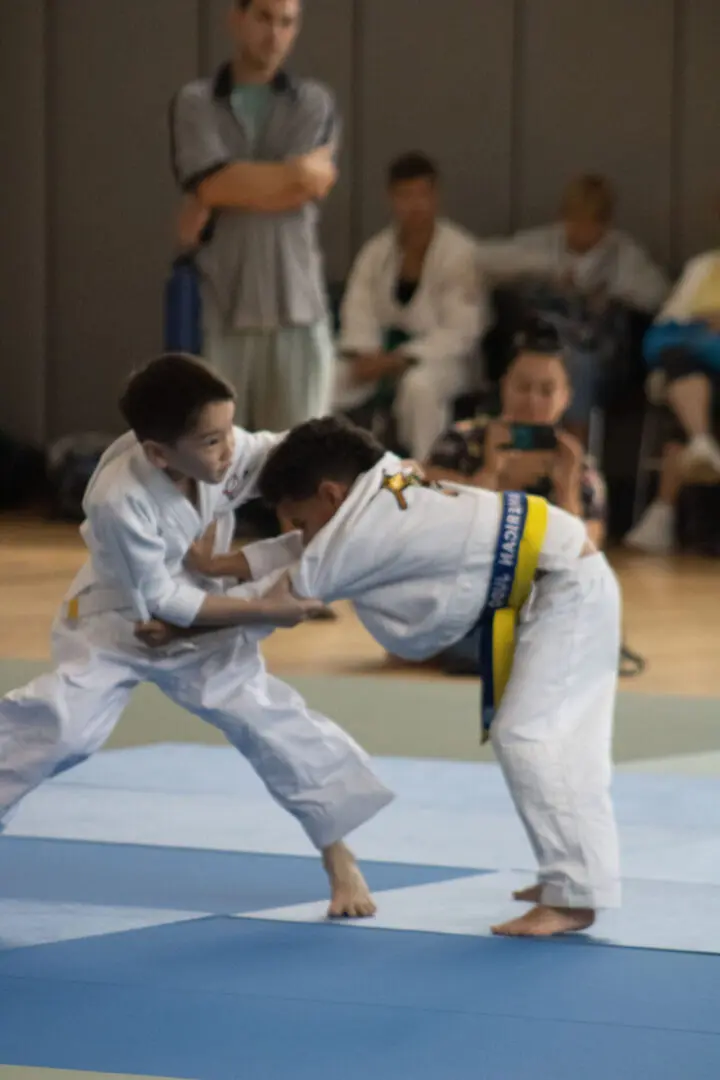 Two young boys grappling in a judo match on a mat.