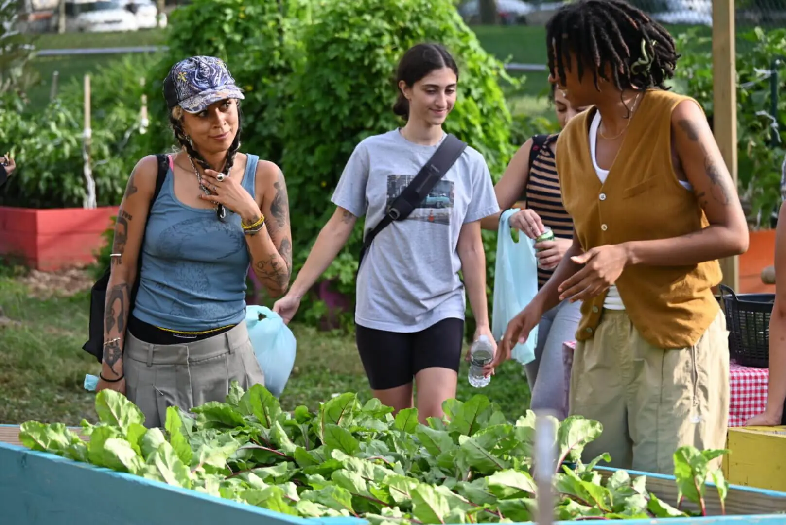 Three people examining plants in a garden on a sunny day.
