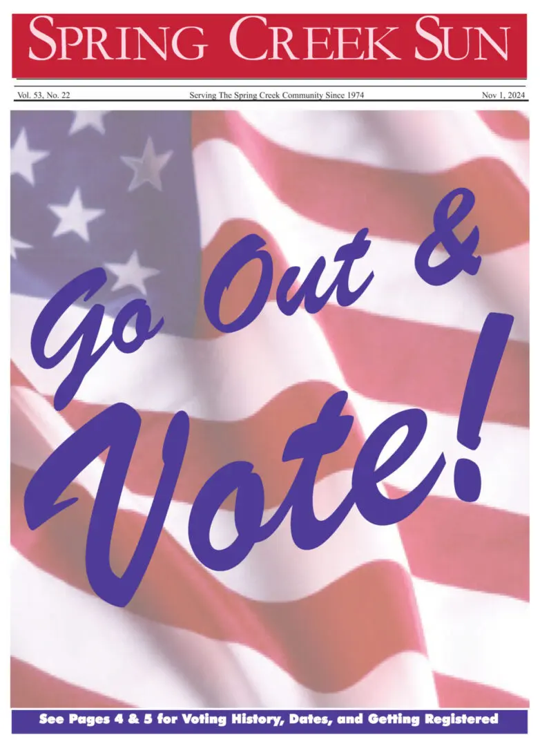 American flag with 'Go Out & Vote!' text encouraging voting.